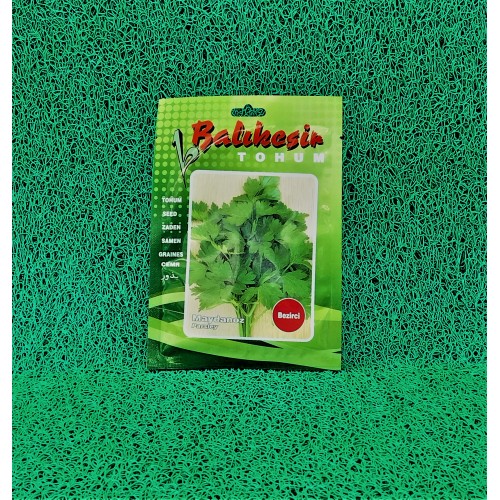 MAYDANOZ TOHUMU (BEZİRCİ) 10GR
